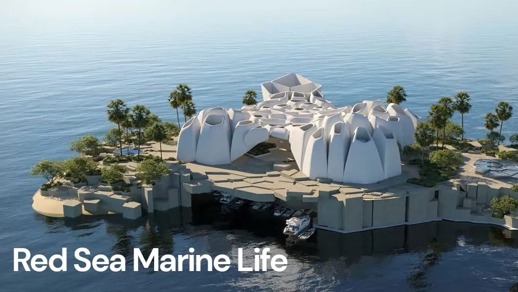 //img1.wsimg.com/isteam/ip/35074ca3-9b11-4172-a492-35857eb87e0e/Red-sea-Marine-Life-KSA-ecc5e37.jpg/:/rs=w:1300,h:800